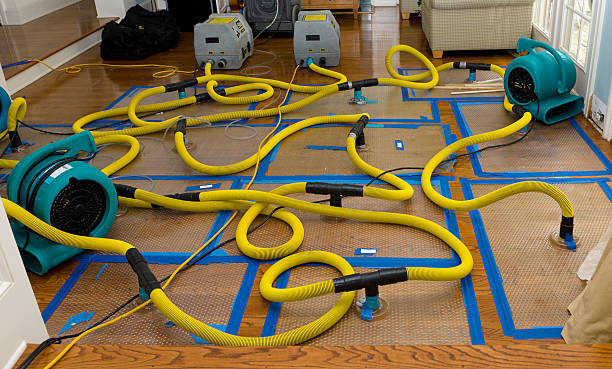 Professional Water Extraction technician working in Fackler, AL